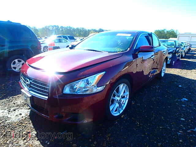2009 NISSAN MAXIMA - VIN: 1N4AA51E09C809637 - Фото 2