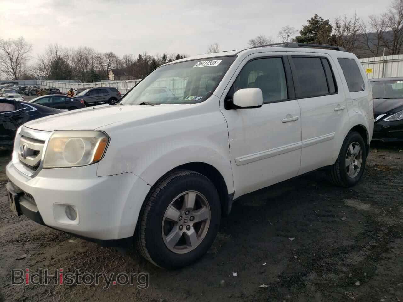 Фотография 5FNYF48639B021750 - HONDA PILOT 2009