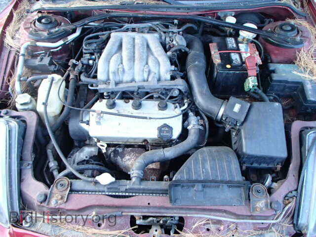 2000 MITSUBISHI ECLIPSE - VIN: 4A3AC84L9YE010150 - Фото 7