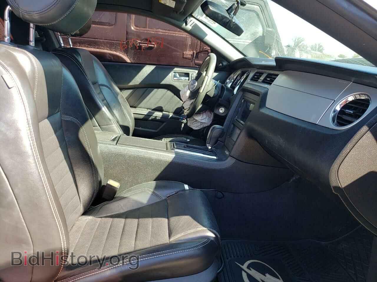 2013 FORD MUSTANG - VIN: 1ZVBP8AM6D5245217 - Фото 5