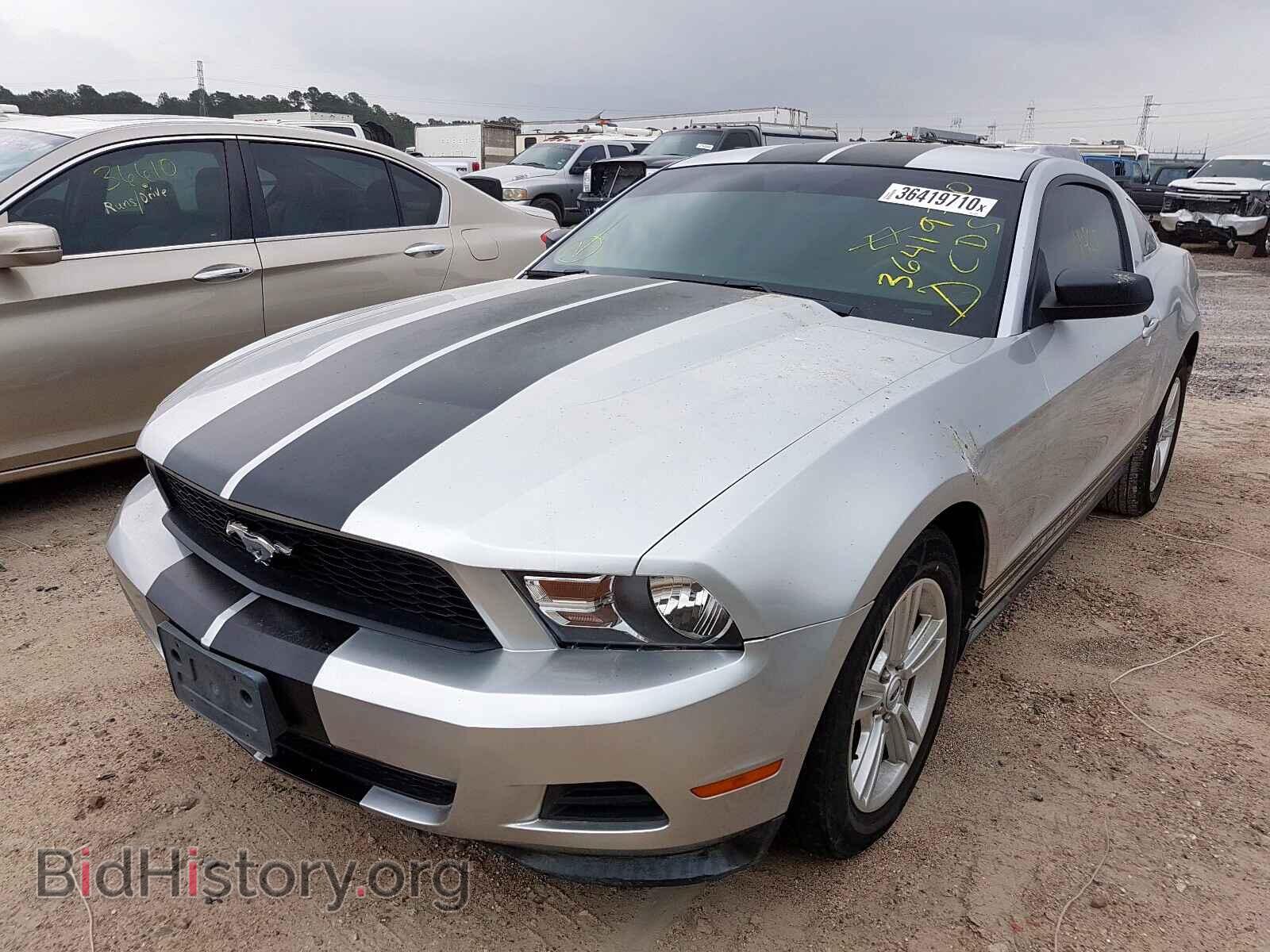 2012 FORD MUSTANG - VIN: 1ZVBP8AM6C5202995 - Фото 2