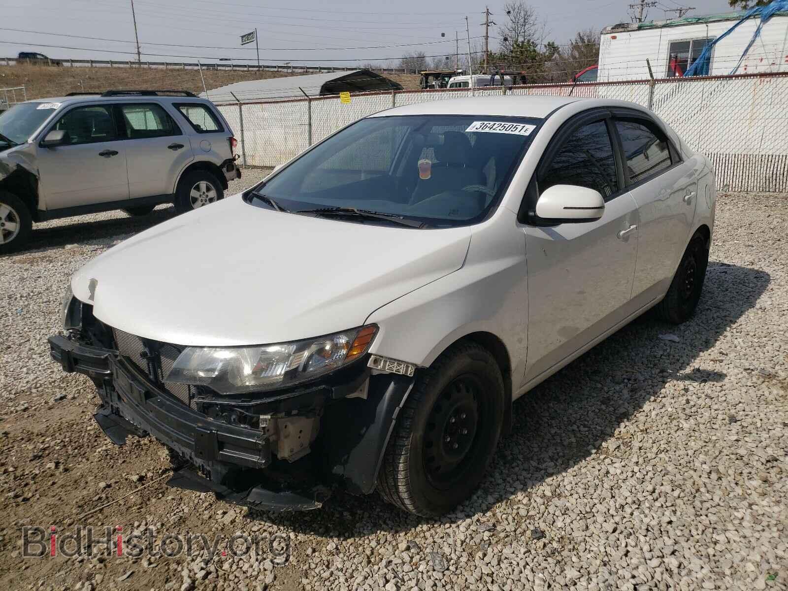 2011 KIA FORTE - VIN: KNAFU4A28B5331675 - Фото 2