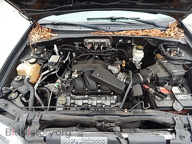 2007 FORD ESCAPE - VIN: 1FMCU03117KA40586 - Фото 7