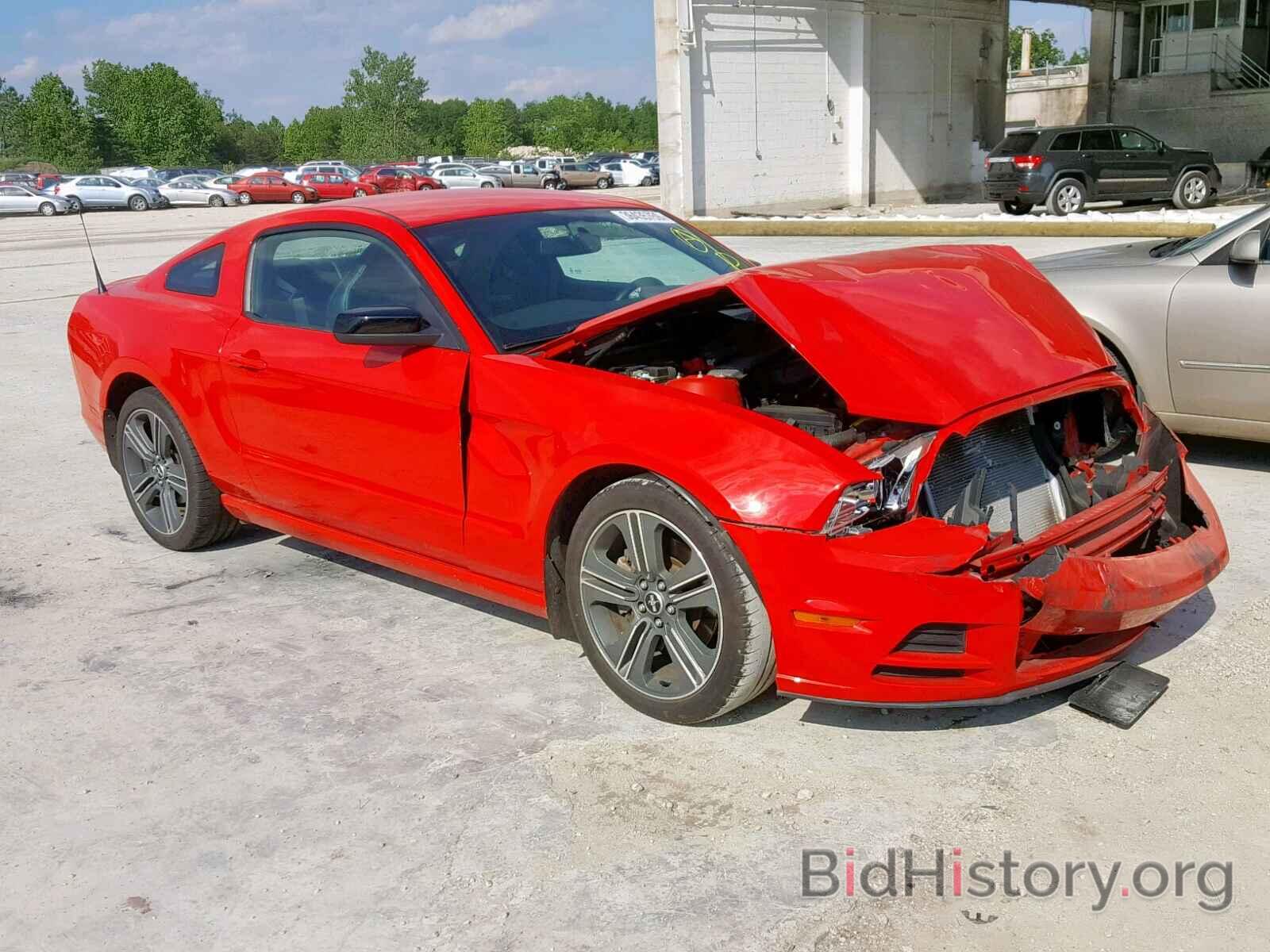 Photo 1ZVBP8AM7D5254508 - FORD MUSTANG 2013