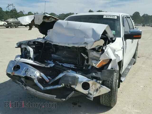 2013 FORD F150 - VIN: 1FTFW1CF8DFD08664 - Фото 2