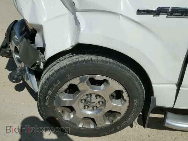 2013 FORD F150 - VIN: 1FTFW1CF8DFD08664 - Фото 10