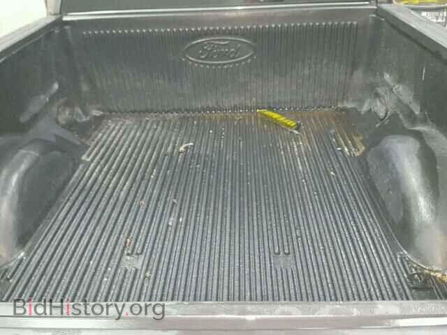 2013 FORD F150 - VIN: 1FTMF1CM4DFD25175 - Фото 6