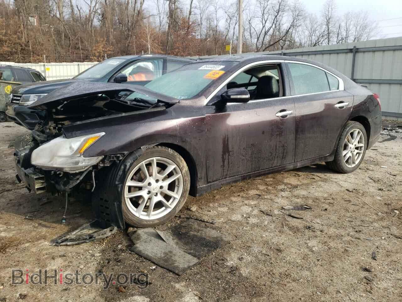 Photo 1N4AA5APXAC829366 - NISSAN MAXIMA 2010