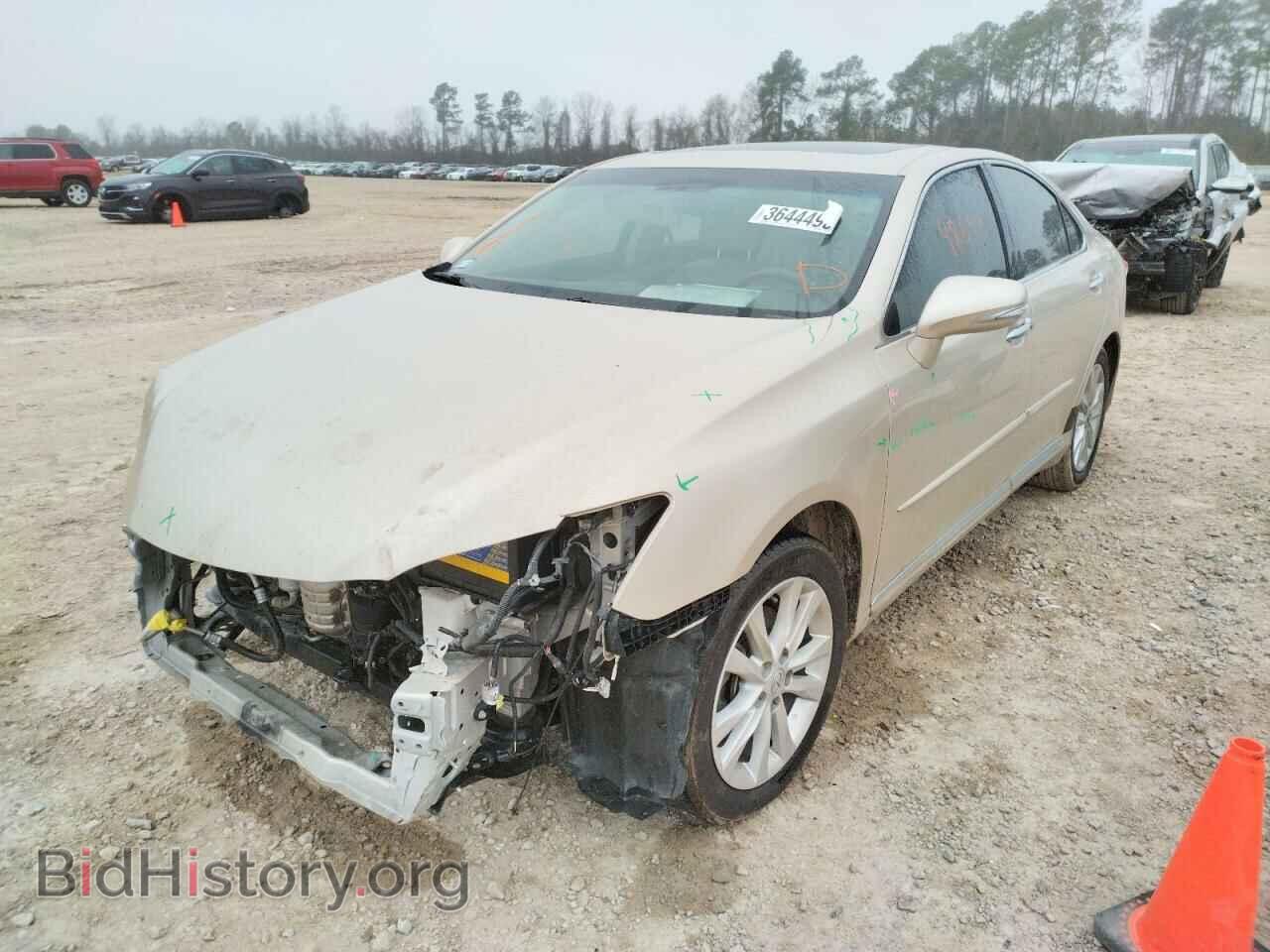 2011 LEXUS ES350 - VIN: JTHBK1EG5B2445726 - Фото 2