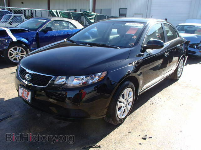 2013 KIA FORTE - VIN: KNAFT4A23D5706295 - Фото 2