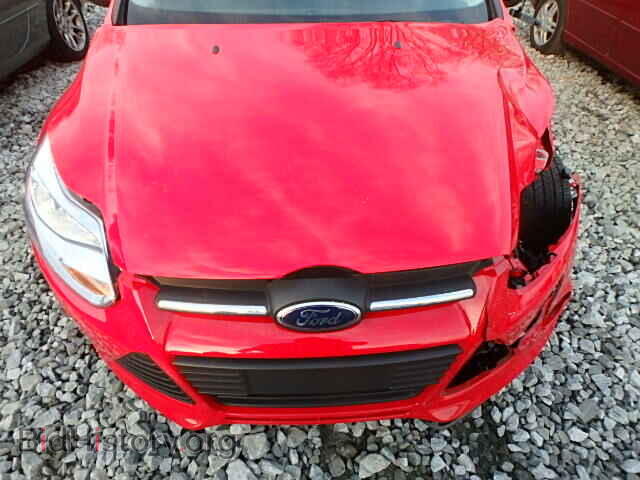 2014 FORD FOCUS - VIN: 1FADP3F29EL203259 - Фото 7