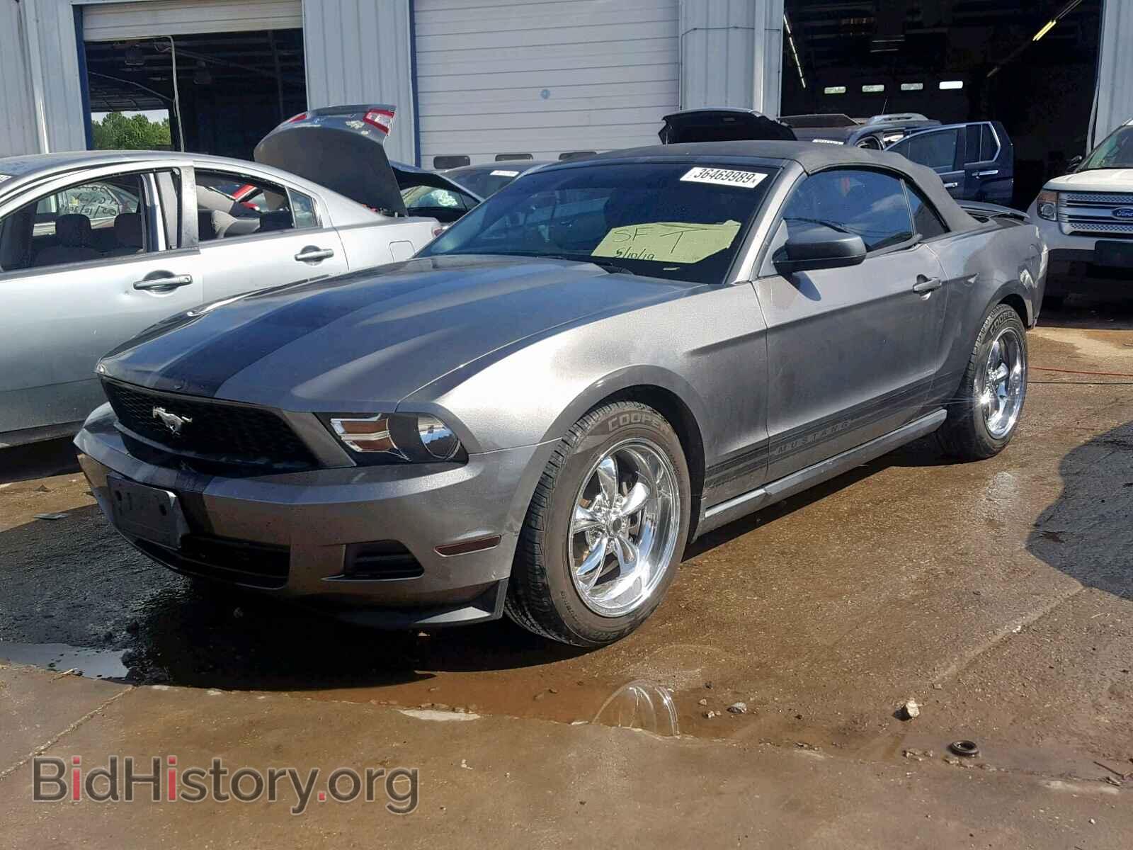 2011 FORD MUSTANG - VIN: 1ZVBP8EMXB5115769 - Фото 2