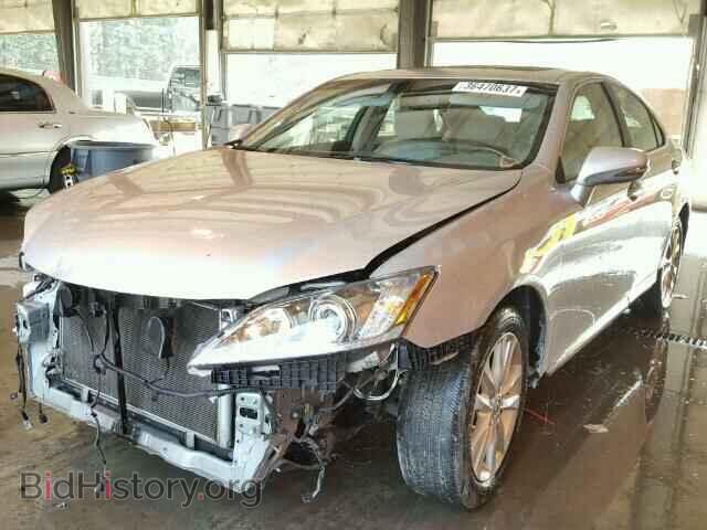 2010 LEXUS ES350 - VIN: JTHBK1EG8A2345716 - Фото 2