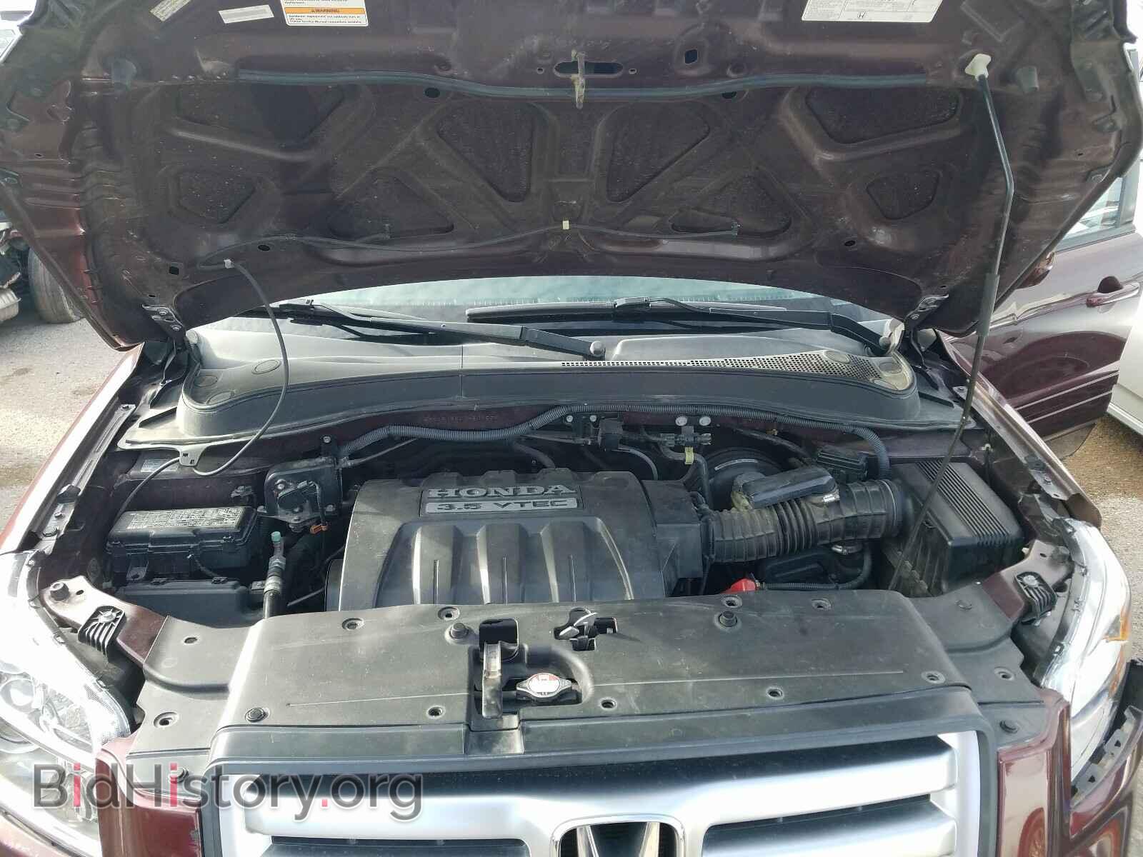 2007 HONDA PILOT - VIN: 2HKYF18537H501565 - Фото 7