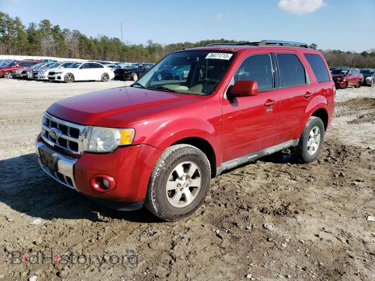 Фотография 1FMCU0E79AKC52726 - FORD ESCAPE 2010
