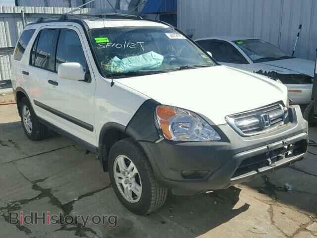 Photo JHLRD77843C026316 - HONDA CRV 2003