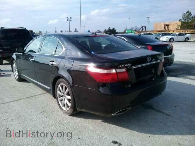 2007 LEXUS LS460 - VIN: JTHBL46FX75003034 - Фото 3