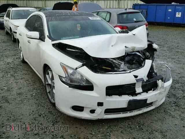 Фотография 1N4AA5AP9AC871401 - NISSAN MAXIMA 2010