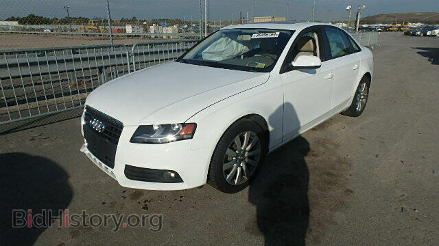 2010 AUDI A4 - VIN: WAUBFAFL0AN002931 - Фото 2