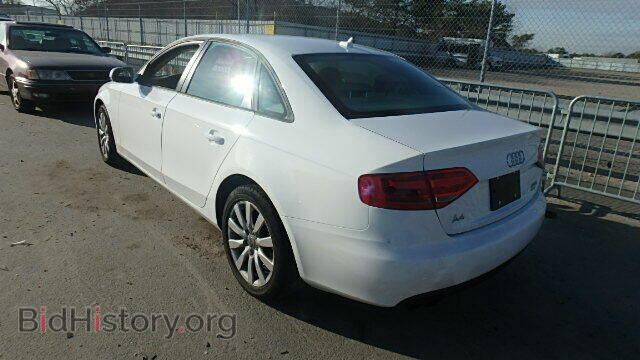 2010 AUDI A4 - VIN: WAUBFAFL0AN002931 - Фото 3