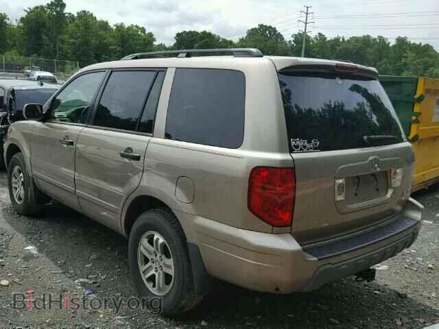 2005 HONDA PILOT - VIN: 5FNYF18665B028619 - Фото 3