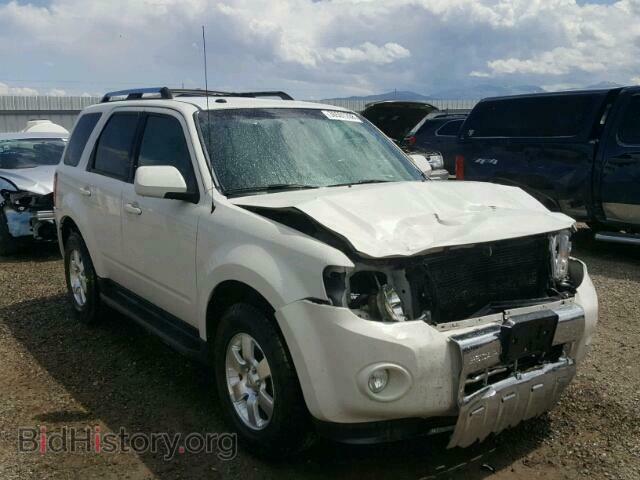 Фотография 1FMCU9EG6BKB25955 - FORD ESCAPE 2011