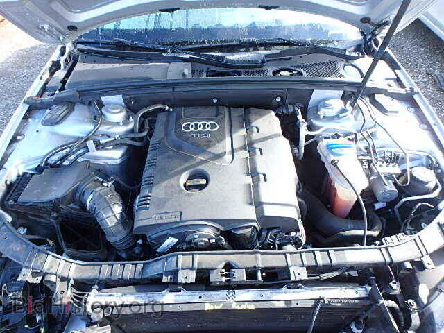 2010 AUDI A4 - VIN: WAUAFAFL7AN030771 - Фото 7