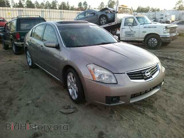 Photo 1N4BA41E58C812112 - NISSAN MAXIMA 2008
