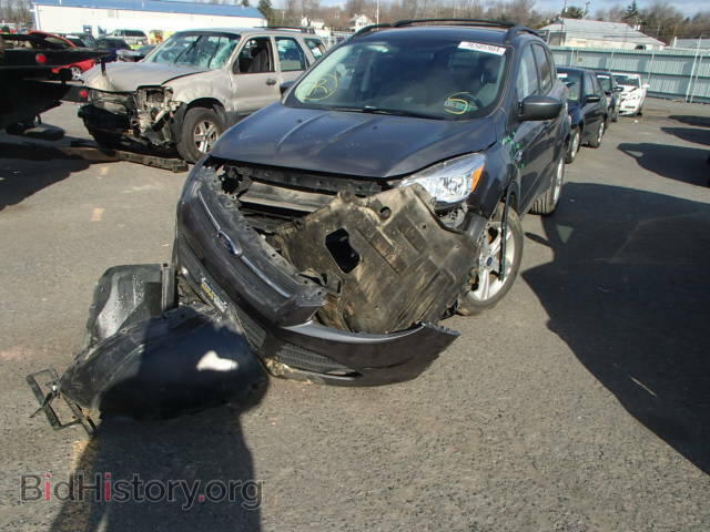 2013 FORD ESCAPE - VIN: 1FMCU0GX4DUC83940 - Фото 2