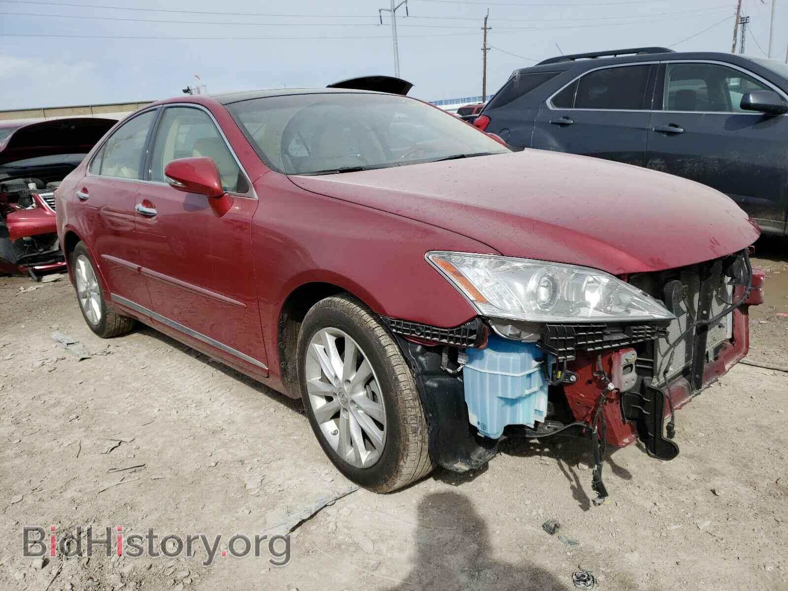 Photo JTHBK1EG2C2481455 - LEXUS ES350 2012