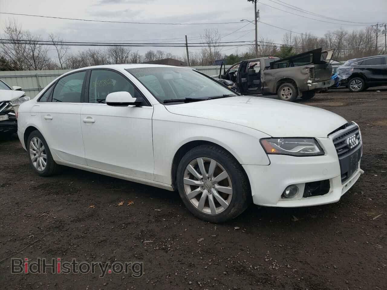 Photo WAUFFAFL4AN004599 - AUDI A4 2010