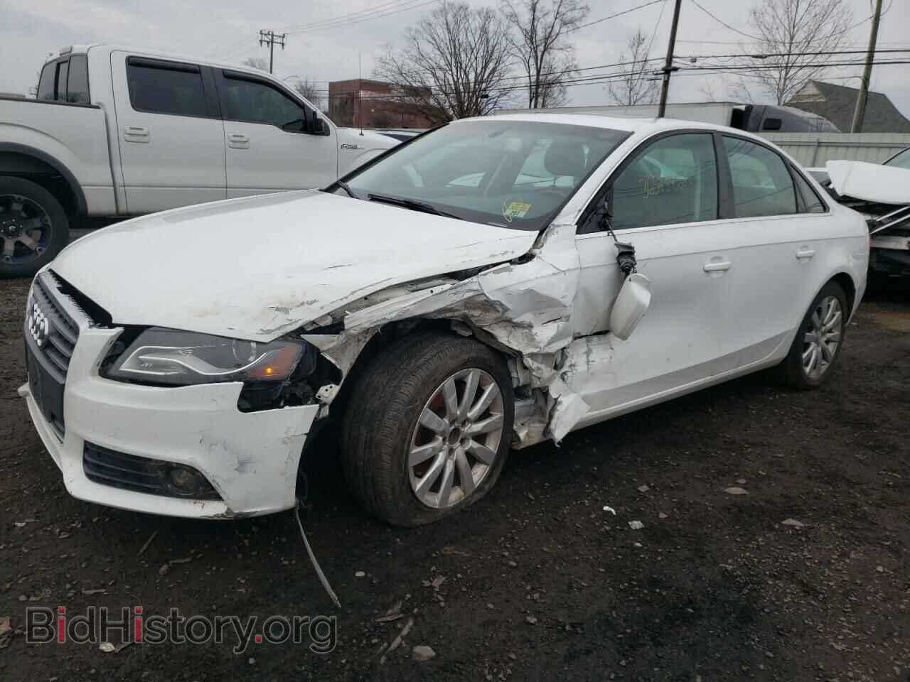 2010 AUDI A4 - VIN: WAUFFAFL4AN004599 - Фото 2