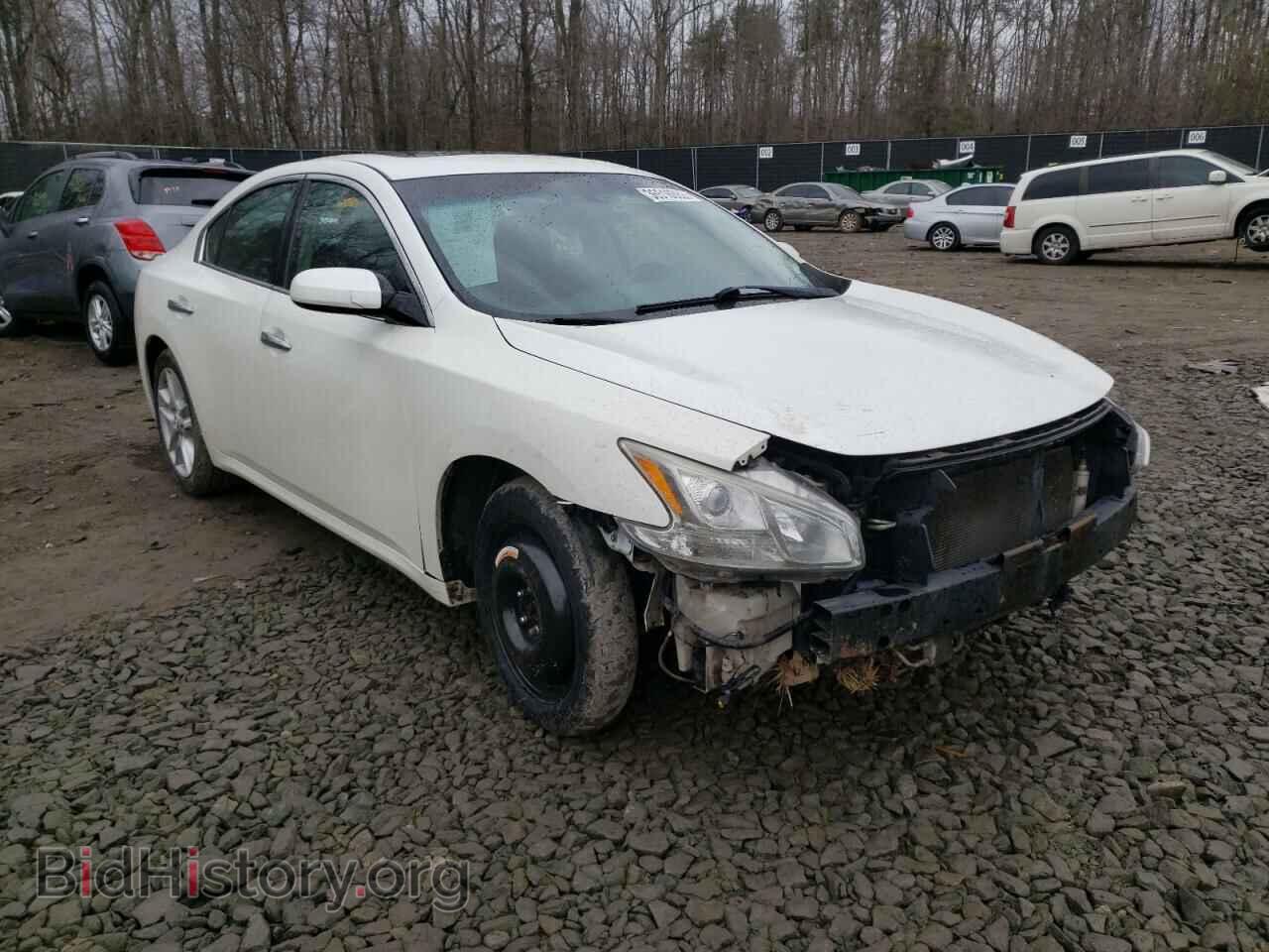 Фотография 1N4AA5AP1DC805848 - NISSAN MAXIMA 2013