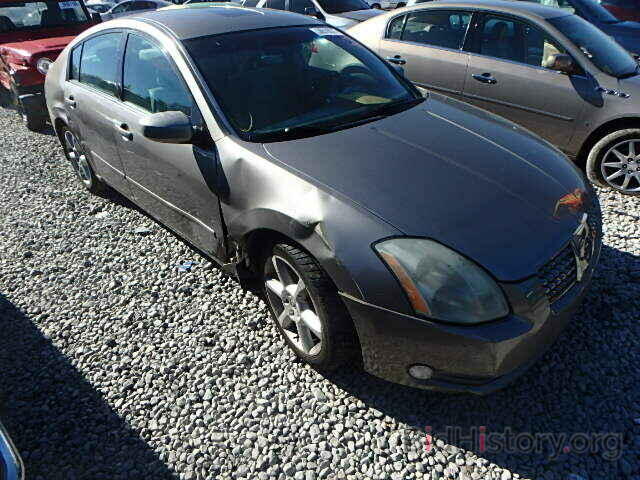 Photo 1N4BA41E14C825613 - NISSAN MAXIMA 2004