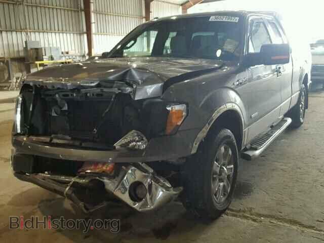 2013 FORD F150 - VIN: 1FTFX1CT0DFB64269 - Фото 2