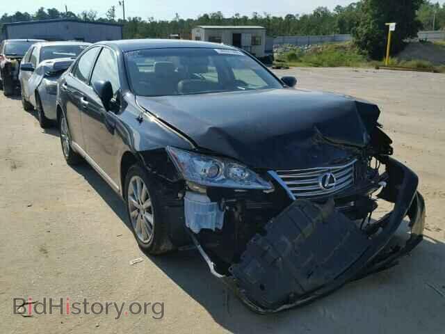 Фотография JTHBK1EG2B2454688 - LEXUS ES350 2011