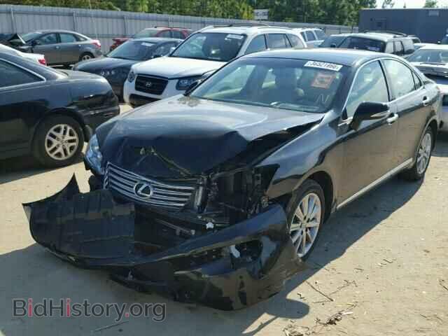 2011 LEXUS ES350 - VIN: JTHBK1EG2B2454688 - Фото 2