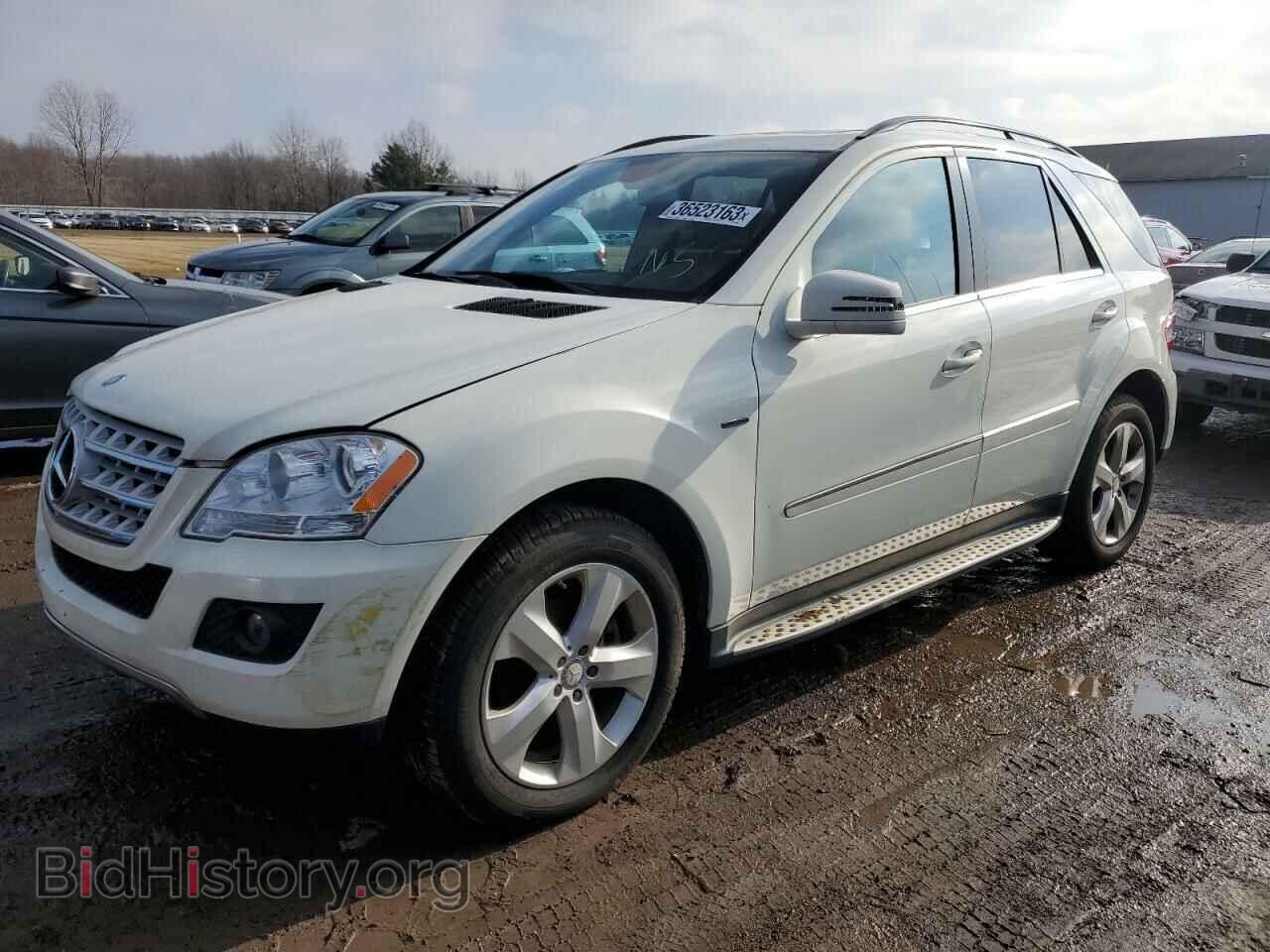 Photo 4JGBB2FB0BA743564 - MERCEDES-BENZ M-CLASS 2011