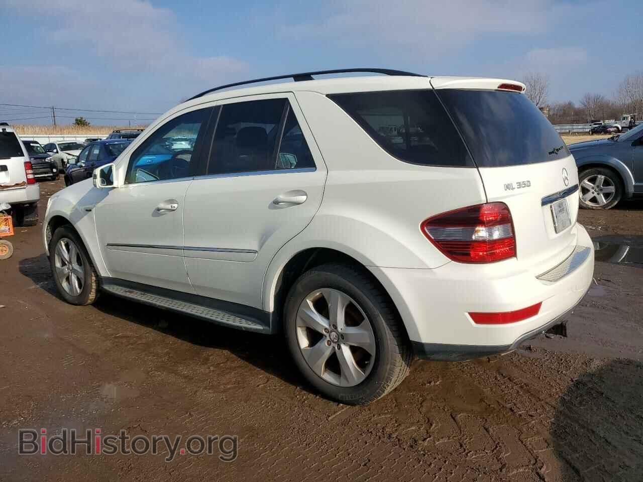 2011 MERCEDES-BENZ M-CLASS - VIN: 4JGBB2FB0BA743564 - Фото 2