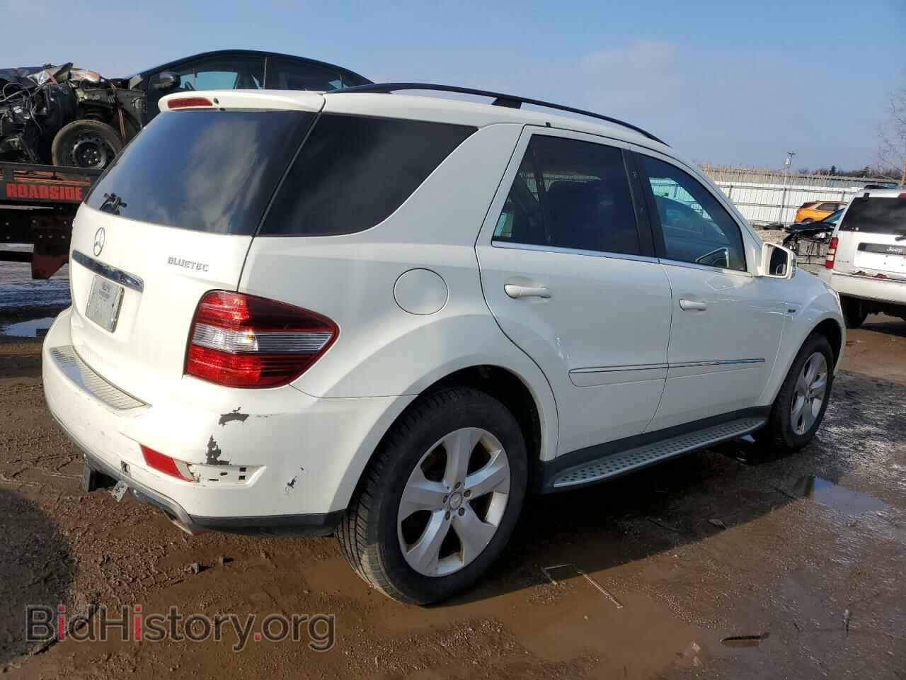 2011 MERCEDES-BENZ M-CLASS - VIN: 4JGBB2FB0BA743564 - Фото 3
