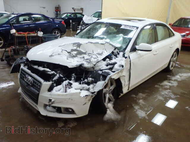 2011 AUDI A4 - VIN: WAUFFAFL8BN036604 - Фото 2