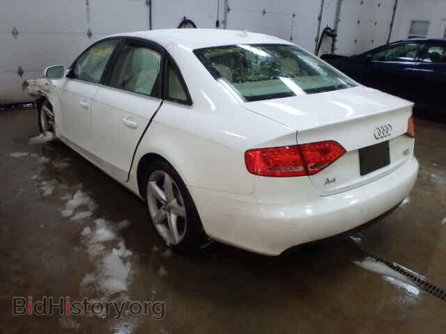 2011 AUDI A4 - VIN: WAUFFAFL8BN036604 - Фото 3