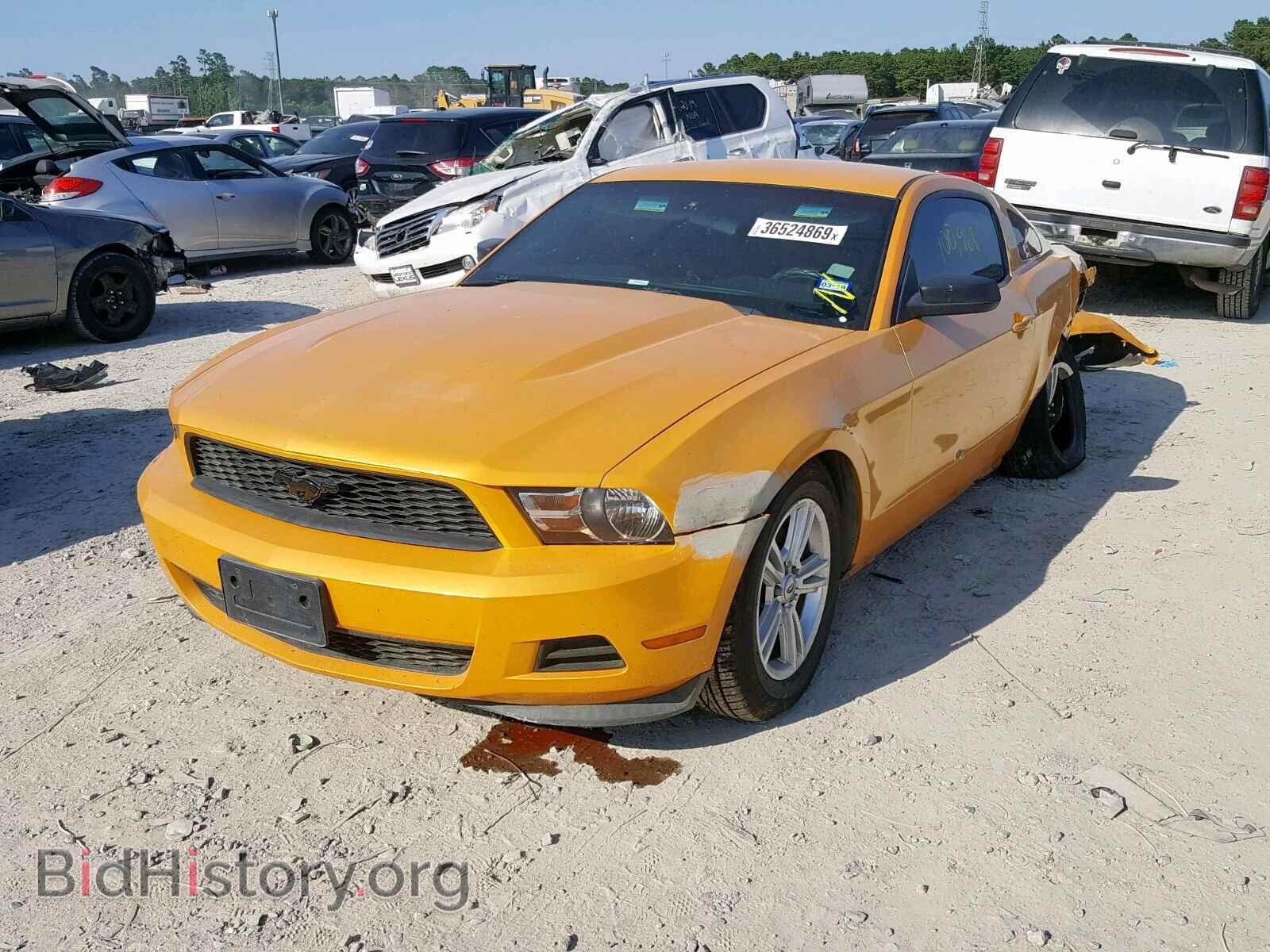 2011 FORD MUSTANG - VIN: 1ZVBP8AM8B5158707 - Фото 2