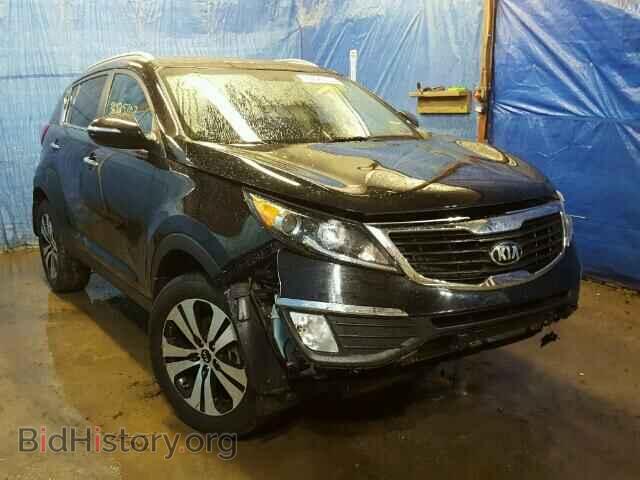 Фотография KNDPC3A22D7475170 - KIA SPORTAGE 2013