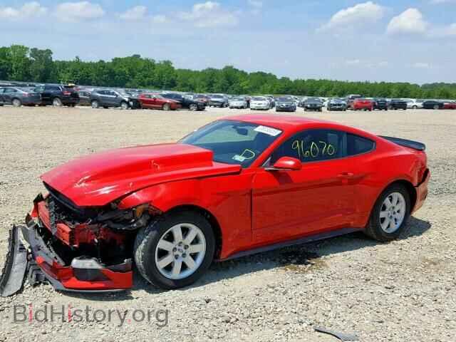 2015 FORD MUSTANG - VIN: 1FA6P8AM1F5335677 - Фото 2