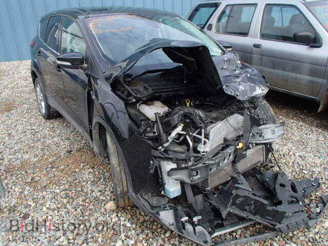 Фотография 1FMCU0HX8DUA75218 - FORD ESCAPE 2013