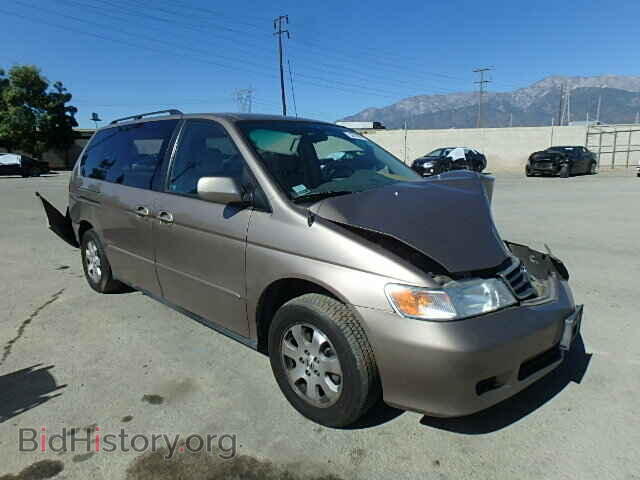 Photo 5FNRL18663B143750 - HONDA ODYSSEY 2003