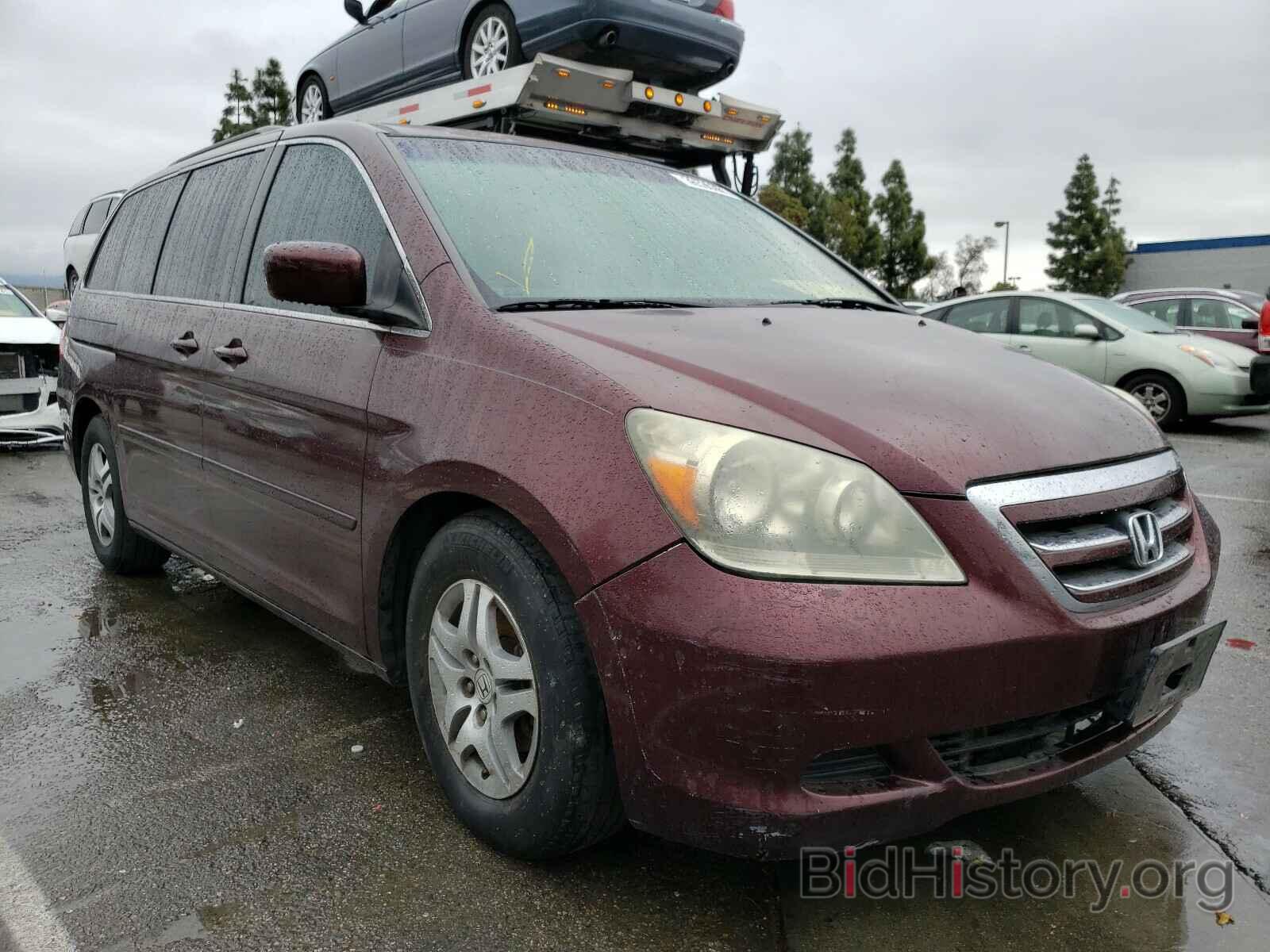 Фотография 5FNRL38487B421449 - HONDA ODYSSEY 2007