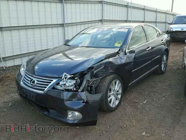 2010 LEXUS ES350 - VIN: JTHBK1EG0A2398961 - Фото 2
