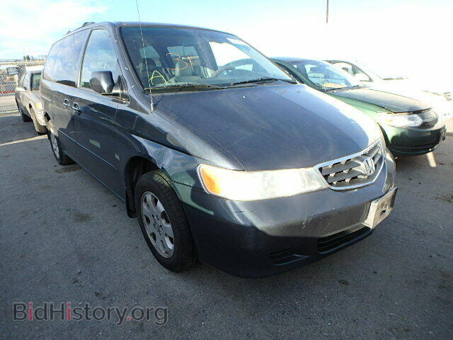 Photo 5FNRL18043B081941 - HONDA ODYSSEY 2003
